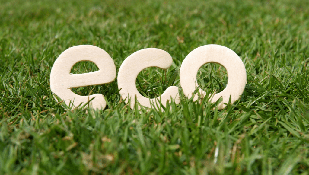 The word "eco" made of wooden letters, placed on lush green grass, symbolizing environmental consciousness.