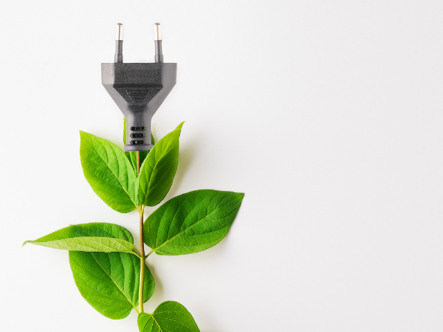 A black electrical plug with green leaves growing around it, representing environmentally conscious energy usage.