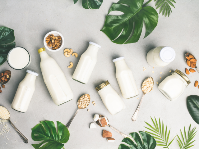 A collection of different bottles of plant-based milk laid on a surface surrounded by nuts and tropical leaves.